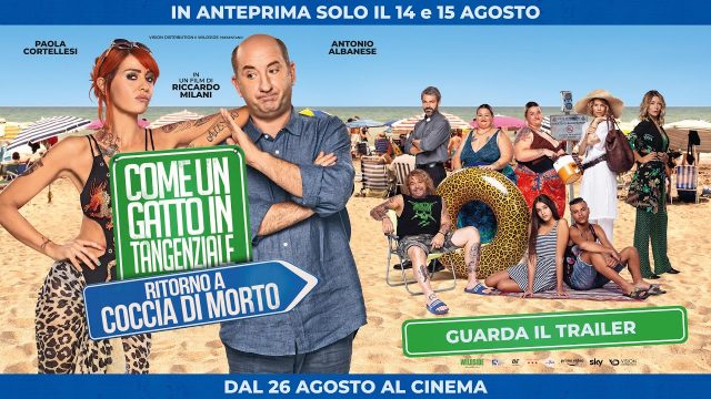 Il Genio Dello Streaming Come Un Gatto In Tangenziale